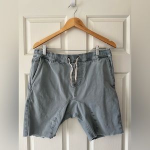 Zanerobe Sureshot Shorts - elastic waist, in size 32